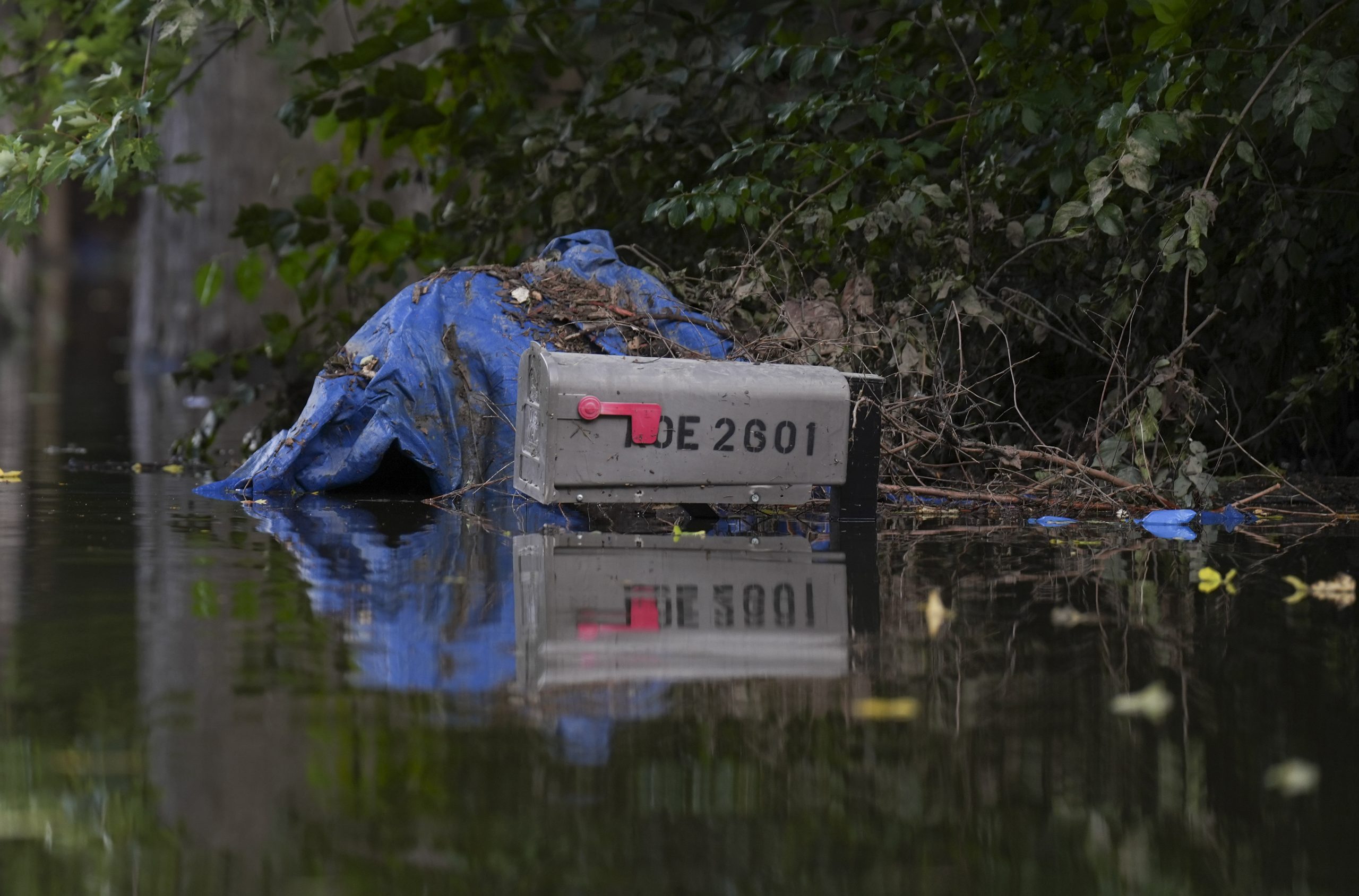 How to dispose of debris, damaged items after Indy's floods